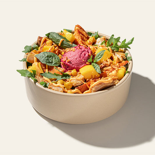 Vegan Protein Chicken